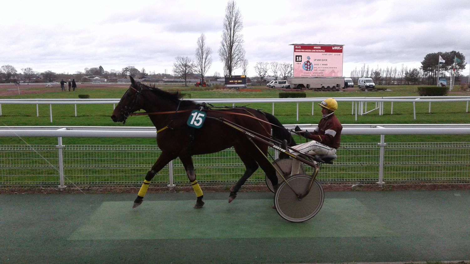 Hippodrome Angers-Trot-2